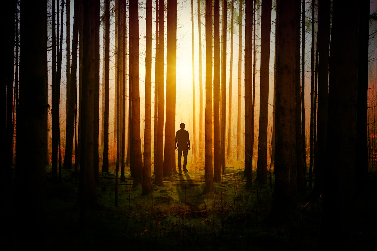 A mysterious silhouette of a man walking in a sunlit forest, creating a dramatic and serene atmosphere.